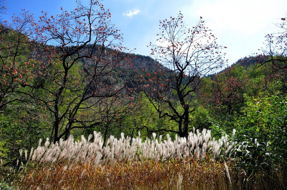 青州插旗山景區(qū)
