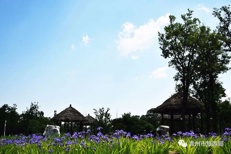 彌河濕地公園